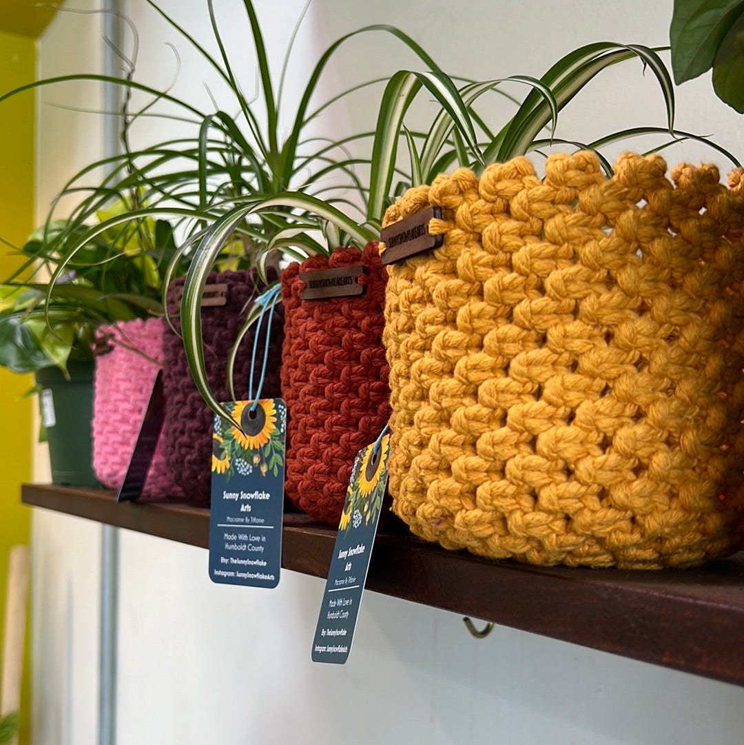 Itsy Bitsy Basket