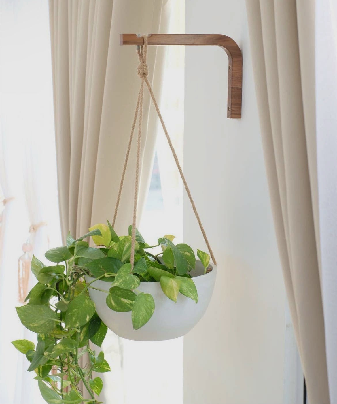 Walnut & Birch Wall Hanger