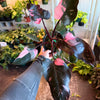 Philodendron 'Pink Princess'