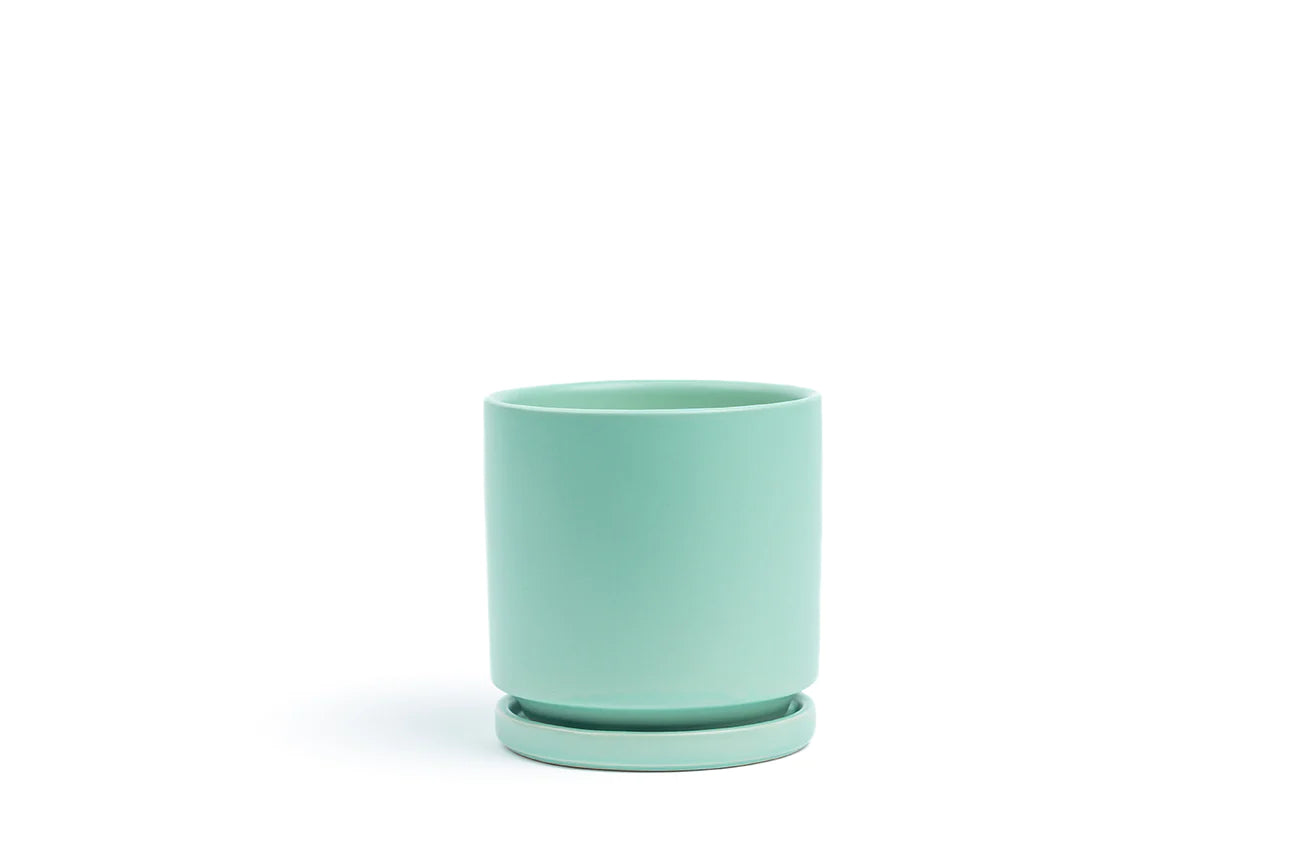 4.5” Gemstone Cylinder Pot with Water Saucer