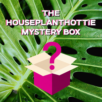 Mystery Box by @HouseplantHottie *Updated Read Description*