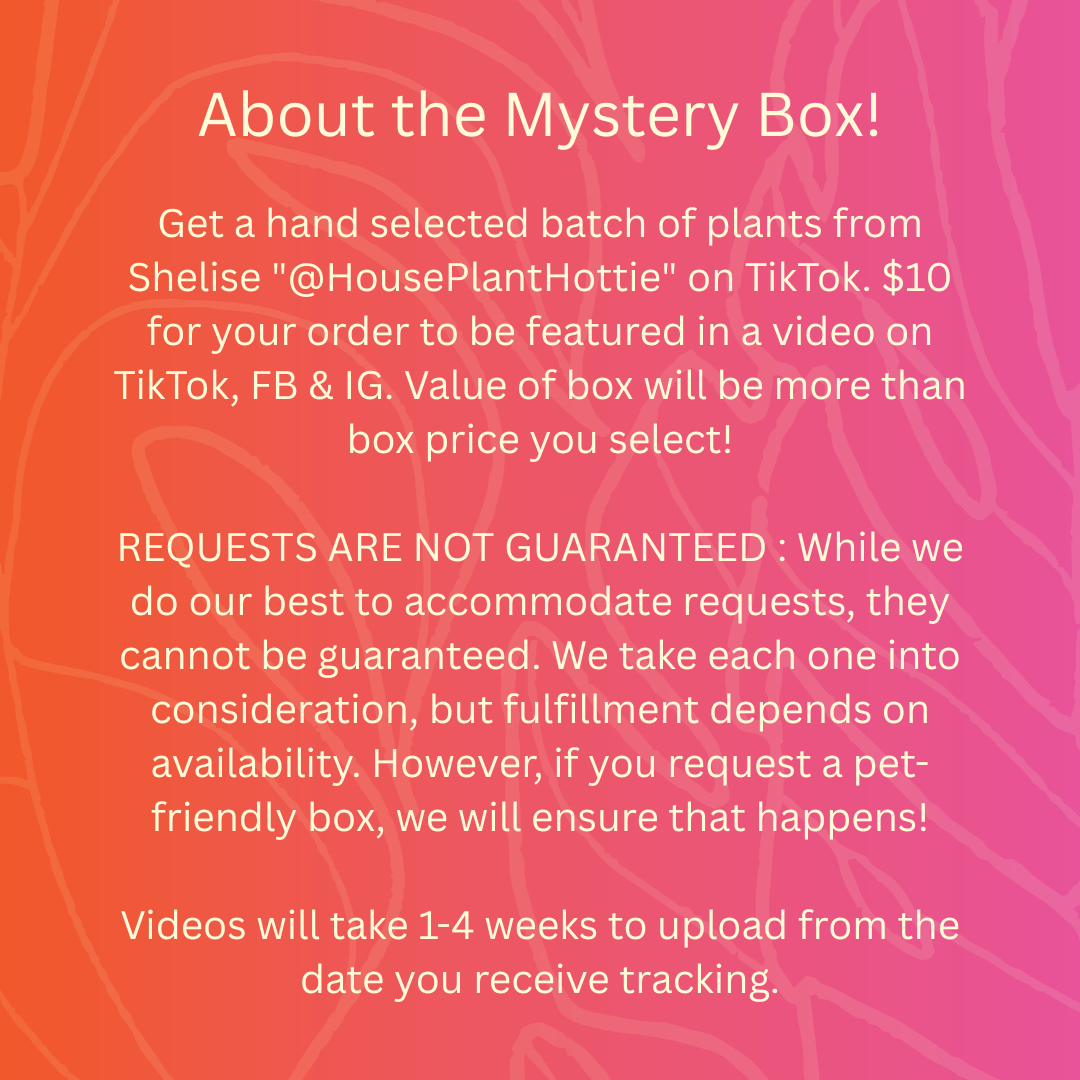 Mystery Box by @HouseplantHottie