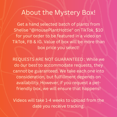 Mystery Box by @HouseplantHottie