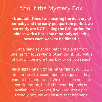 Mystery Box by @HouseplantHottie *Updated Read Description*