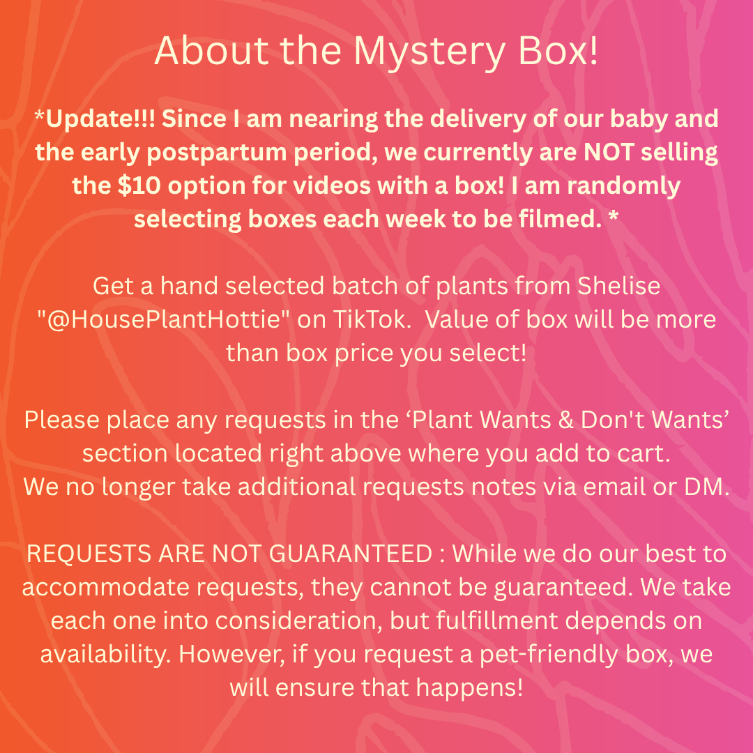 Mystery Box by @HouseplantHottie *Updated : Read Description*