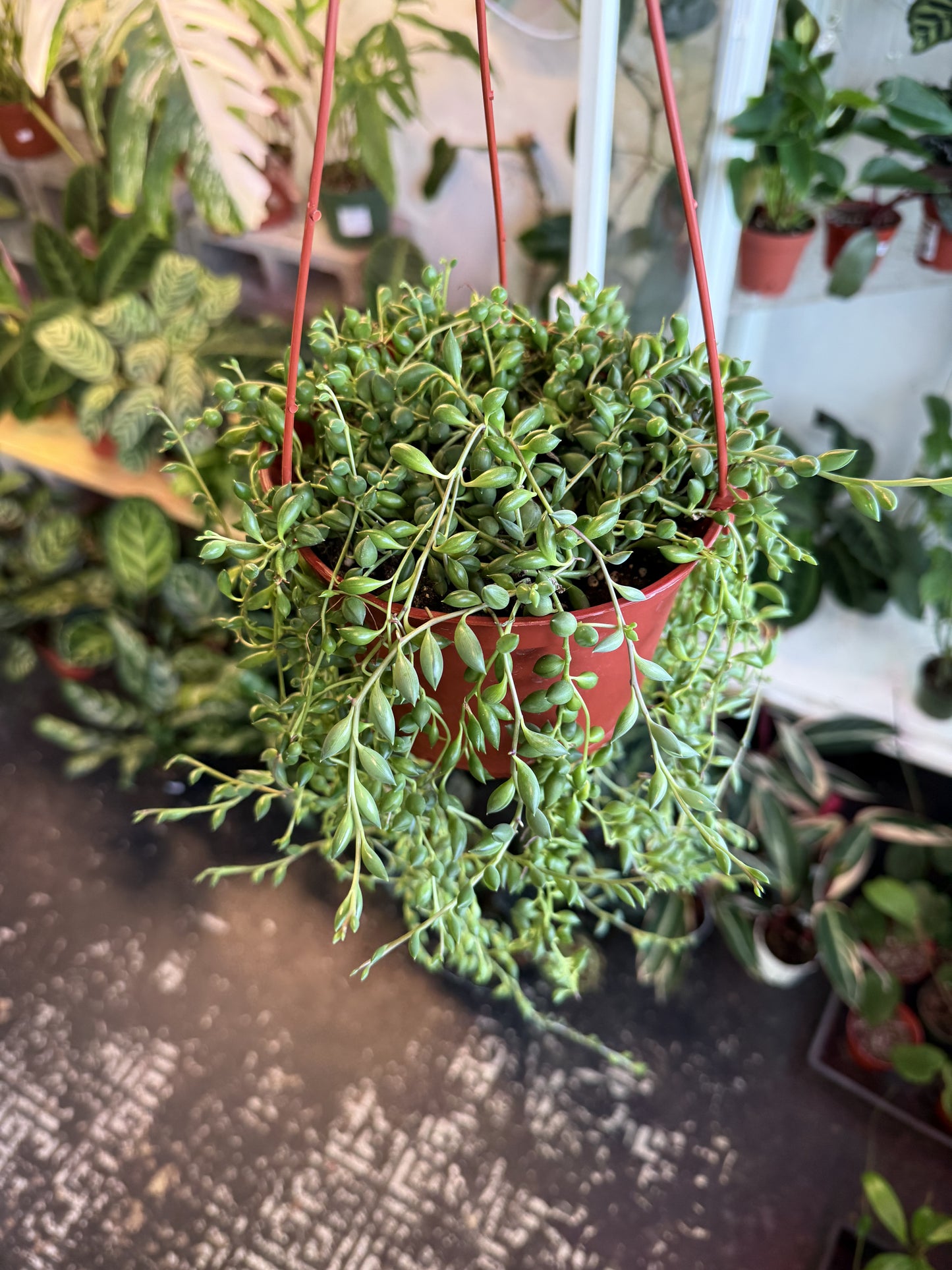 String Of Tears
