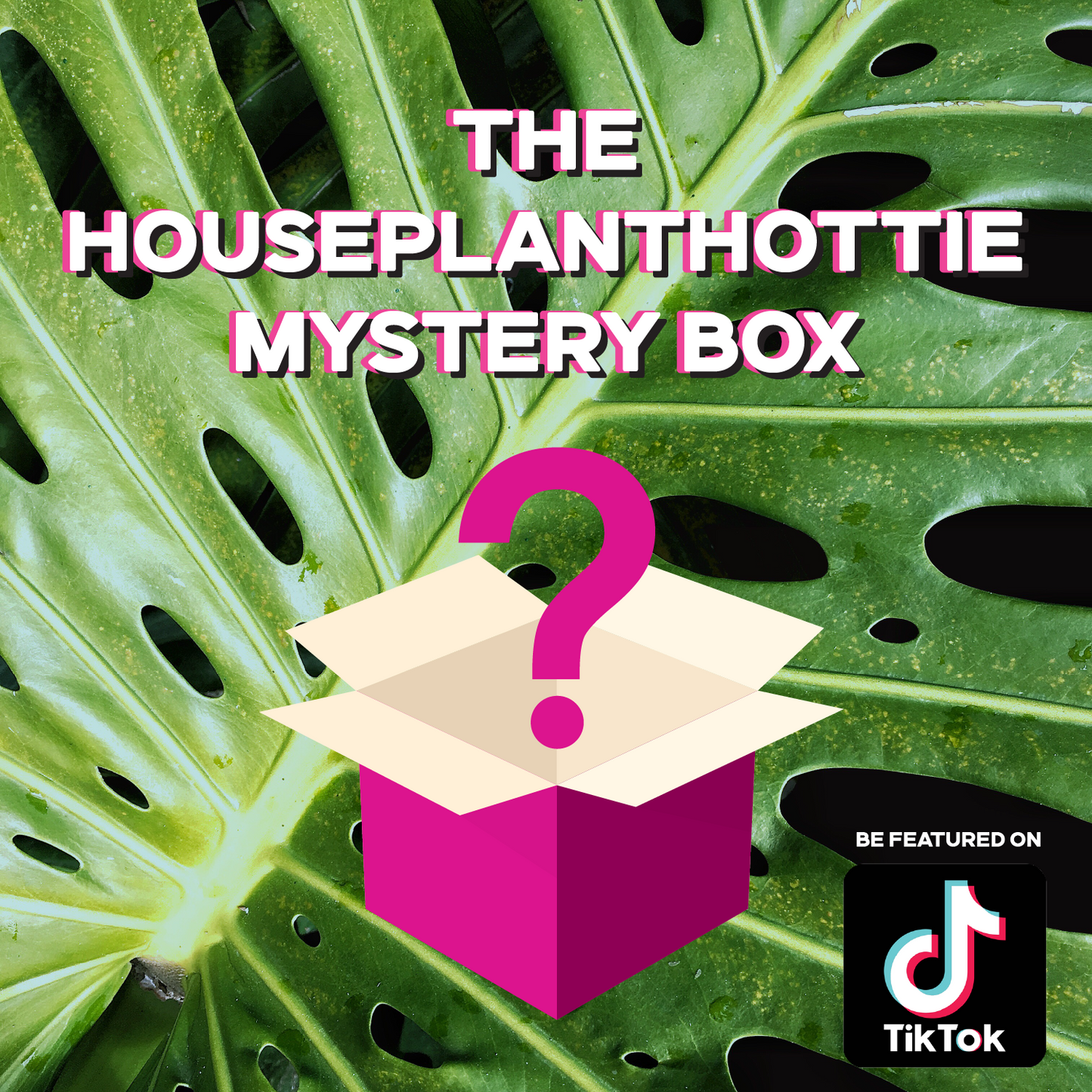 mystery house plant box Mystery Box by @HouseplantHottie – Humboldt Houseplants